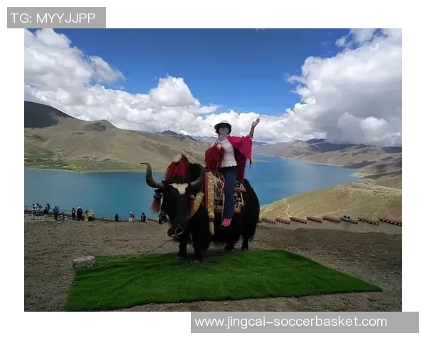 姚明携手西藏啤酒开启新篇章品味高原风情与篮球文化的完美融合